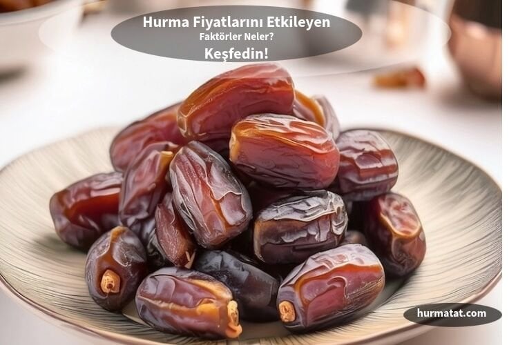 Hurma Fiyatları Nasıl Belirlenir? Alışveriş Rehberi