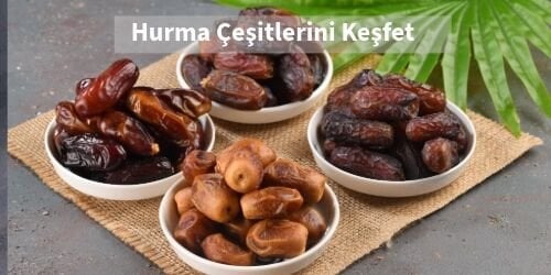 Doğal Hurma Çeşitleri